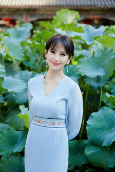 胡歌演的电视剧